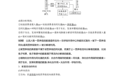 第九单元　第52课时　生态系统的能量流动_2025年新高考资料_一轮复习_2025大一轮复习讲义+课件（完结）_2025大一轮复习讲义生物教师用书Word版文档整书_配套Word版文档第七~十单元