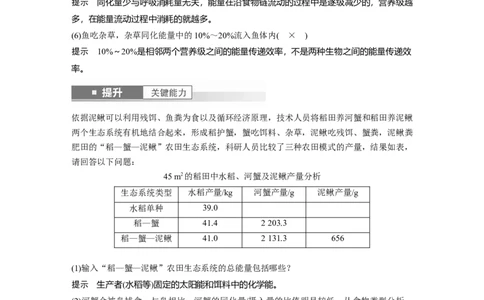 第九单元　第52课时　生态系统的能量流动_2025年新高考资料_一轮复习_2025大一轮复习讲义+课件（完结）_2025大一轮复习讲义生物教师用书Word版文档整书_配套Word版文档第七~十单元