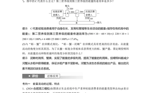 第九单元　第52课时　生态系统的能量流动_2025年新高考资料_一轮复习_2025大一轮复习讲义+课件（完结）_2025大一轮复习讲义生物教师用书Word版文档整书_配套Word版文档第七~十单元