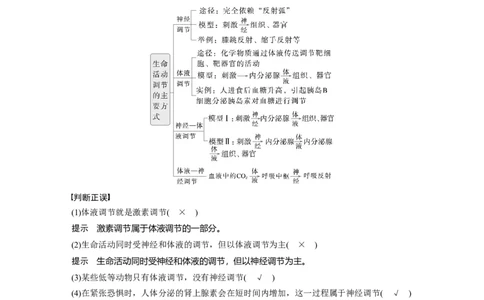 第八单元　第41课时　体液调节与神经调节的关系_2025年新高考资料_一轮复习_2025大一轮复习讲义+课件（完结）_2025大一轮复习讲义生物教师用书Word版文档整书