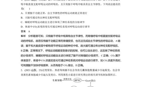 第八单元　第41课时　体液调节与神经调节的关系_2025年新高考资料_一轮复习_2025大一轮复习讲义+课件（完结）_2025大一轮复习讲义生物教师用书Word版文档整书