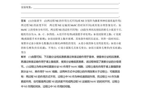 第八单元　第41课时　体液调节与神经调节的关系_2025年新高考资料_一轮复习_2025大一轮复习讲义+课件（完结）_2025大一轮复习讲义生物教师用书Word版文档整书