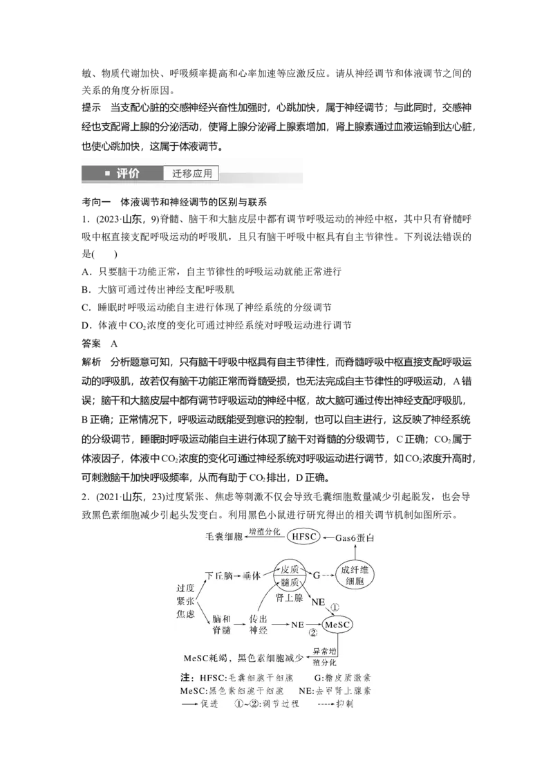 第八单元　第41课时　体液调节与神经调节的关系_2025年新高考资料_一轮复习_2025大一轮复习讲义+课件（完结）_2025大一轮复习讲义生物教师用书Word版文档整书