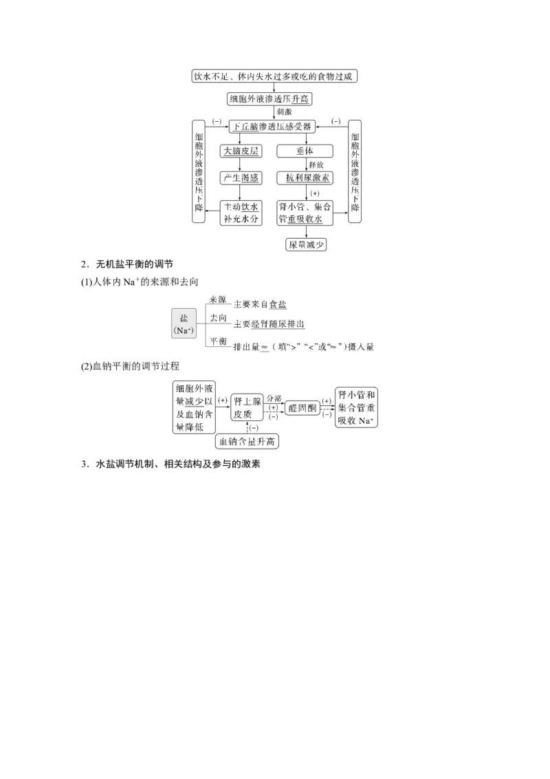 第八单元　第41课时　体液调节与神经调节的关系_2025年新高考资料_一轮复习_2025大一轮复习讲义+课件（完结）_2025大一轮复习讲义生物教师用书Word版文档整书