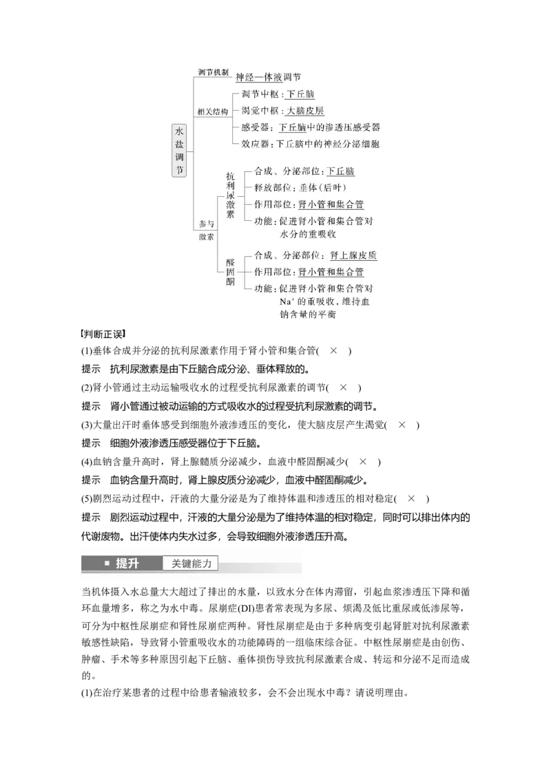 第八单元　第41课时　体液调节与神经调节的关系_2025年新高考资料_一轮复习_2025大一轮复习讲义+课件（完结）_2025大一轮复习讲义生物教师用书Word版文档整书