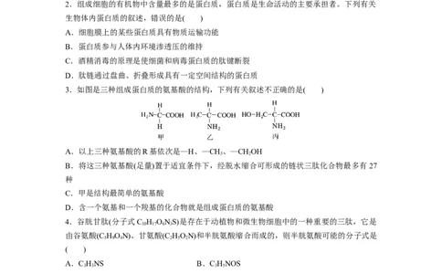 第一单元　课时练4蛋白质是生命活动的主要承担者_2025年新高考资料_一轮复习_2025大一轮复习讲义+课件（完结）_2025大一轮复习讲义生物学生用书Word版文档整书_2025一轮复习73练