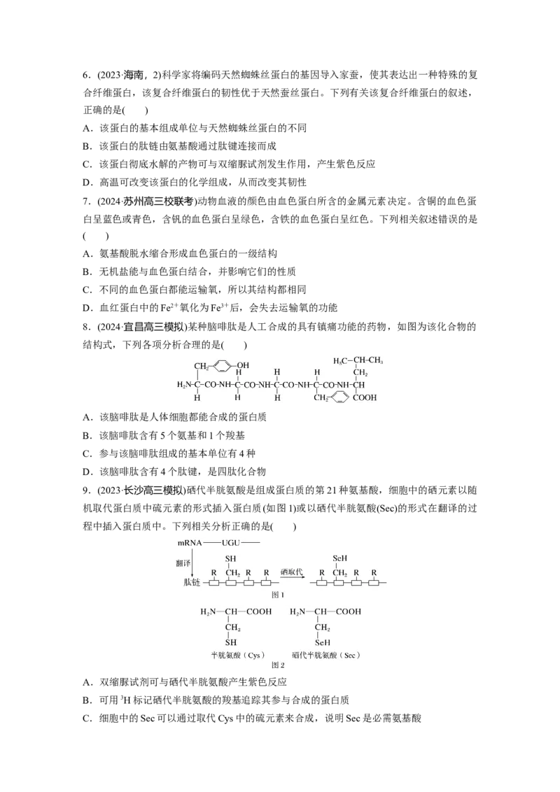 第一单元　课时练4蛋白质是生命活动的主要承担者_2025年新高考资料_一轮复习_2025大一轮复习讲义+课件（完结）_2025大一轮复习讲义生物学生用书Word版文档整书_2025一轮复习73练