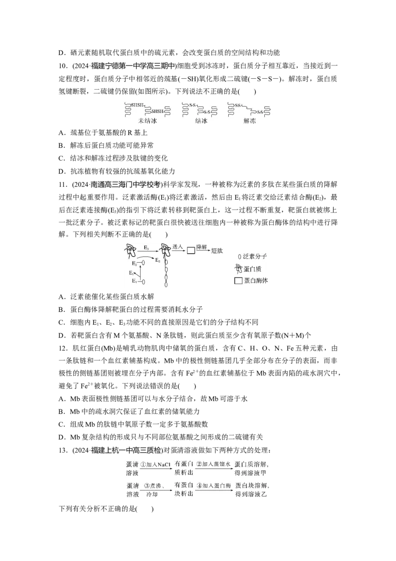 第一单元　课时练4蛋白质是生命活动的主要承担者_2025年新高考资料_一轮复习_2025大一轮复习讲义+课件（完结）_2025大一轮复习讲义生物学生用书Word版文档整书_2025一轮复习73练