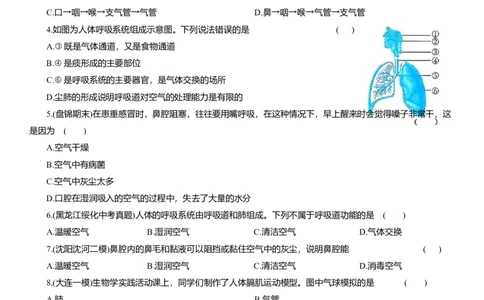 2026年中考生物复习专题练习：专题十七呼吸系统（含答案）_6生物中考复习_2026年中考复习（更新中）_2026年中考生物一轮复习专题练习（含答案）
