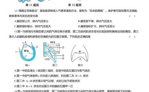 2026年中考生物复习专题练习：专题十七呼吸系统（含答案）_6生物中考复习_2026年中考复习（更新中）_2026年中考生物一轮复习专题练习（含答案）