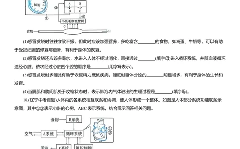 2026年中考生物复习专题练习：专题十七呼吸系统（含答案）_6生物中考复习_2026年中考复习（更新中）_2026年中考生物一轮复习专题练习（含答案）