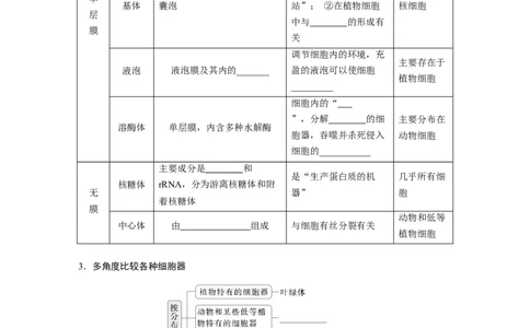 第二单元　第7课时　细胞器之间的分工_2025年新高考资料_一轮复习_2025大一轮复习讲义+课件（完结）_2025大一轮复习讲义生物学生用书Word版文档整书_2025大一轮复习讲义