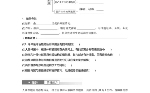 第二单元　第7课时　细胞器之间的分工_2025年新高考资料_一轮复习_2025大一轮复习讲义+课件（完结）_2025大一轮复习讲义生物学生用书Word版文档整书_2025大一轮复习讲义