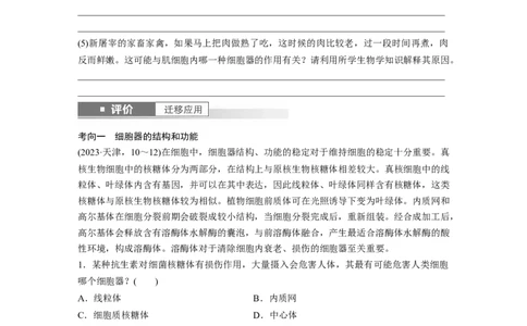 第二单元　第7课时　细胞器之间的分工_2025年新高考资料_一轮复习_2025大一轮复习讲义+课件（完结）_2025大一轮复习讲义生物学生用书Word版文档整书_2025大一轮复习讲义