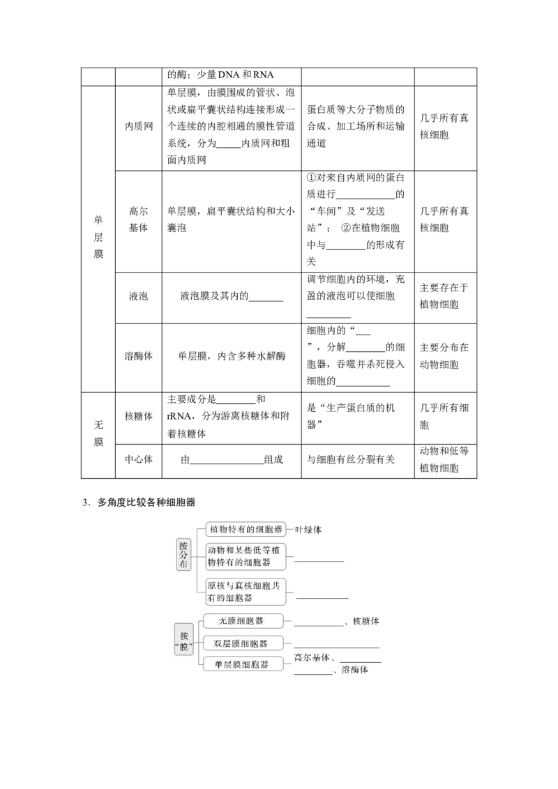 第二单元　第7课时　细胞器之间的分工_2025年新高考资料_一轮复习_2025大一轮复习讲义+课件（完结）_2025大一轮复习讲义生物学生用书Word版文档整书_2025大一轮复习讲义