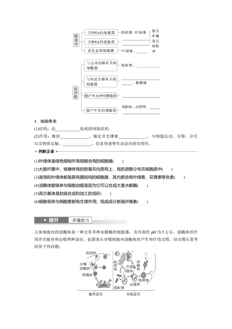 第二单元　第7课时　细胞器之间的分工_2025年新高考资料_一轮复习_2025大一轮复习讲义+课件（完结）_2025大一轮复习讲义生物学生用书Word版文档整书_2025大一轮复习讲义