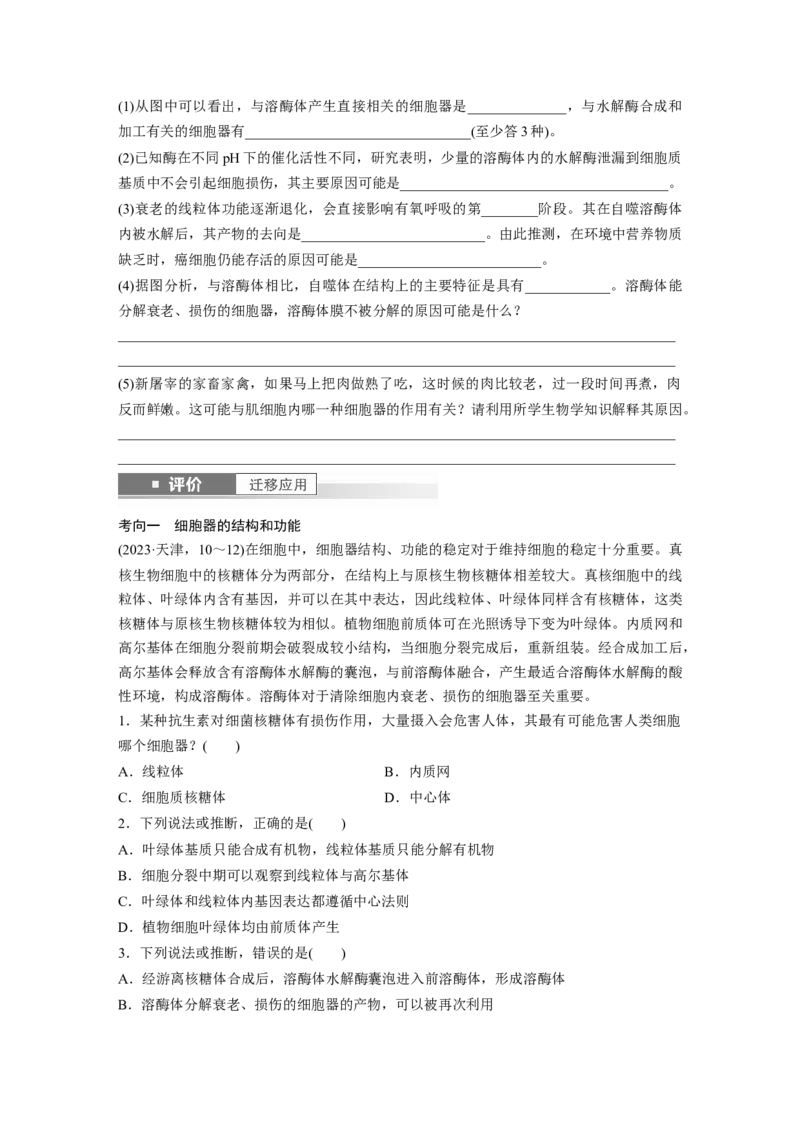 第二单元　第7课时　细胞器之间的分工_2025年新高考资料_一轮复习_2025大一轮复习讲义+课件（完结）_2025大一轮复习讲义生物学生用书Word版文档整书_2025大一轮复习讲义