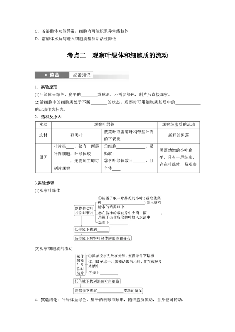 第二单元　第7课时　细胞器之间的分工_2025年新高考资料_一轮复习_2025大一轮复习讲义+课件（完结）_2025大一轮复习讲义生物学生用书Word版文档整书_2025大一轮复习讲义