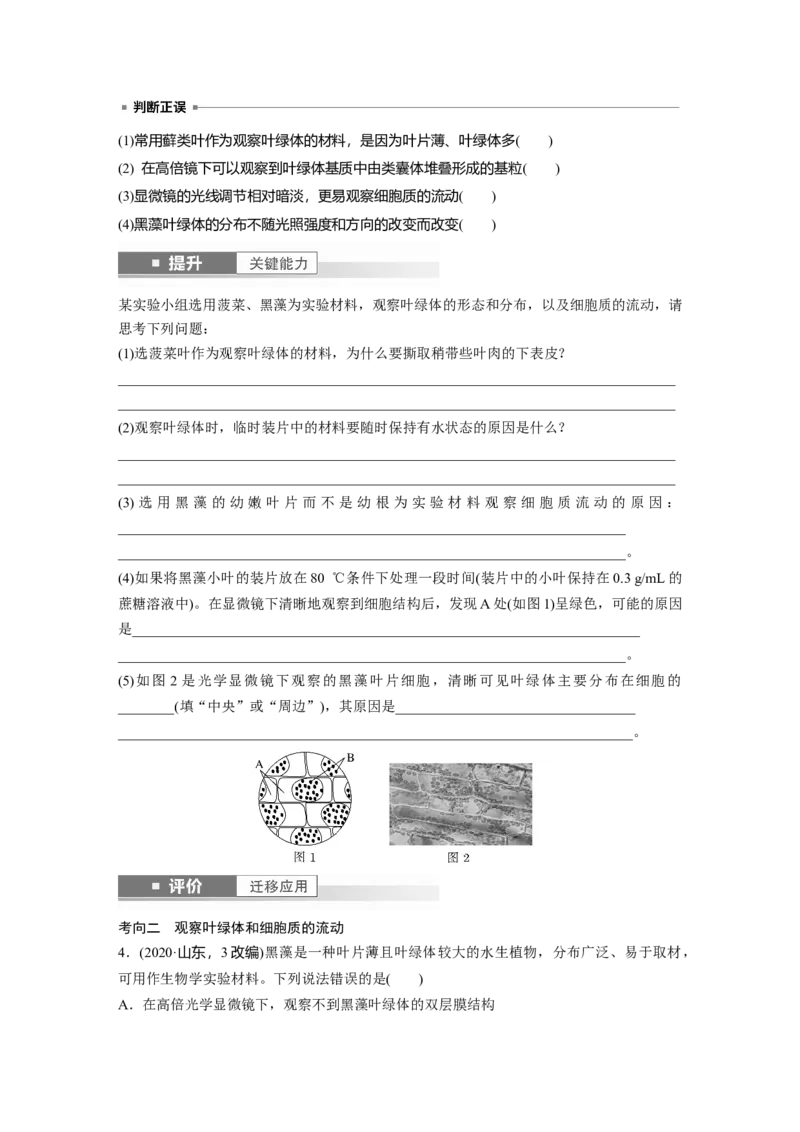 第二单元　第7课时　细胞器之间的分工_2025年新高考资料_一轮复习_2025大一轮复习讲义+课件（完结）_2025大一轮复习讲义生物学生用书Word版文档整书_2025大一轮复习讲义