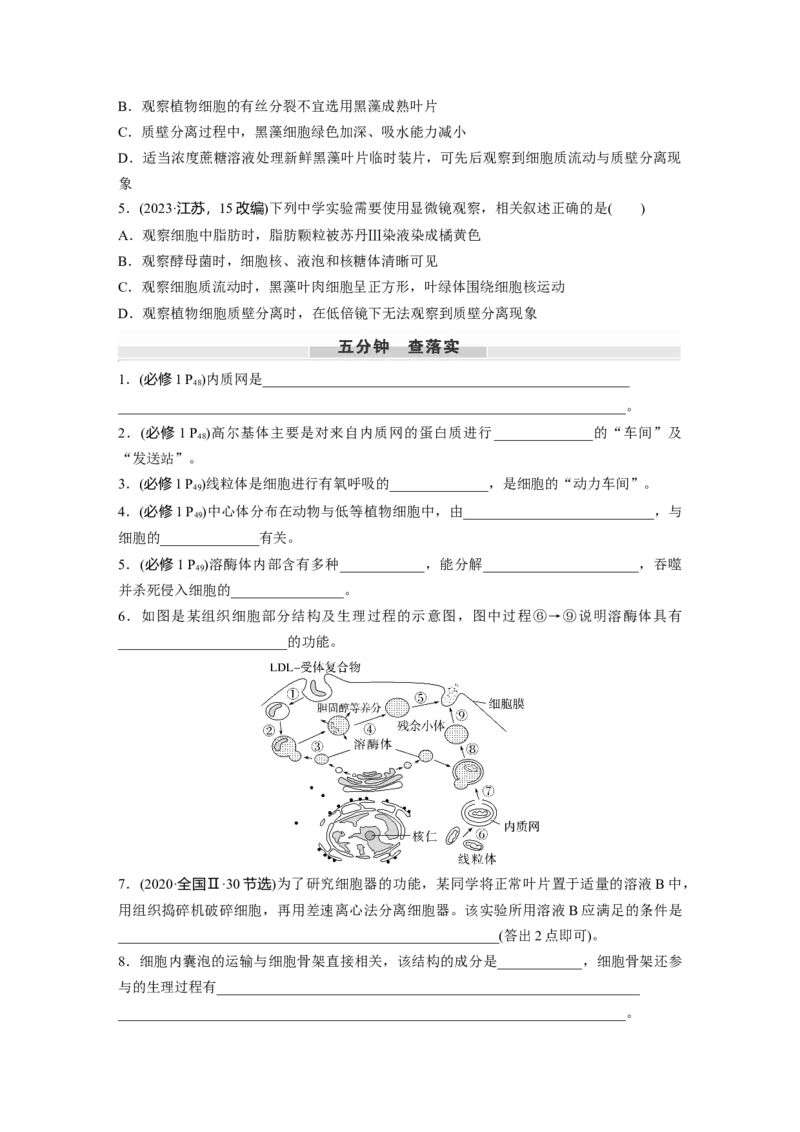 第二单元　第7课时　细胞器之间的分工_2025年新高考资料_一轮复习_2025大一轮复习讲义+课件（完结）_2025大一轮复习讲义生物学生用书Word版文档整书_2025大一轮复习讲义