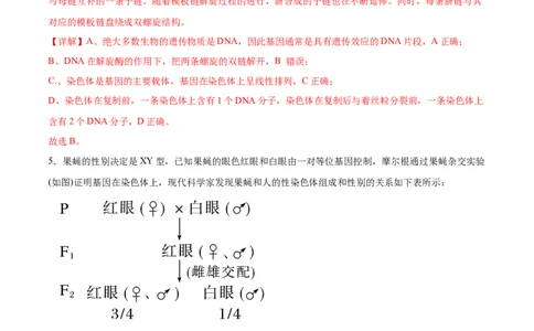 第4讲基因位于染色体上（解析版）_通用版（老高考）复习资料_2024年复习资料_完备战2024年高考生物一轮复习考点帮（全国通用）_专题六基因的传递规律