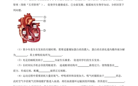 2024年中考生物读图理解专题复习：人体内物质的运输（含答案）_6生物中考复习_2024年中考复习资料_二轮复习_备考2024中考生物二轮复习读图理解精练