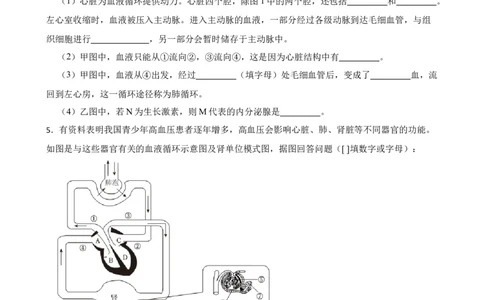 2024年中考生物读图理解专题复习：人体内物质的运输（含答案）_6生物中考复习_2024年中考复习资料_二轮复习_备考2024中考生物二轮复习读图理解精练