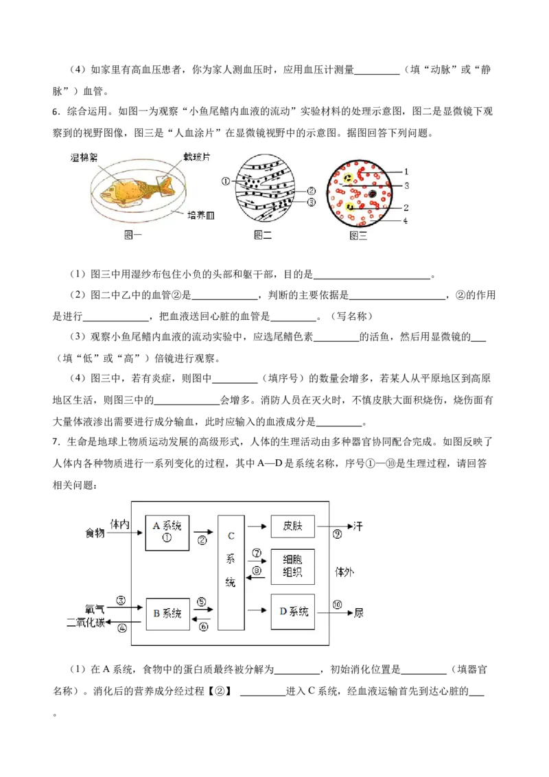2024年中考生物读图理解专题复习：人体内物质的运输（含答案）_6生物中考复习_2024年中考复习资料_二轮复习_备考2024中考生物二轮复习读图理解精练