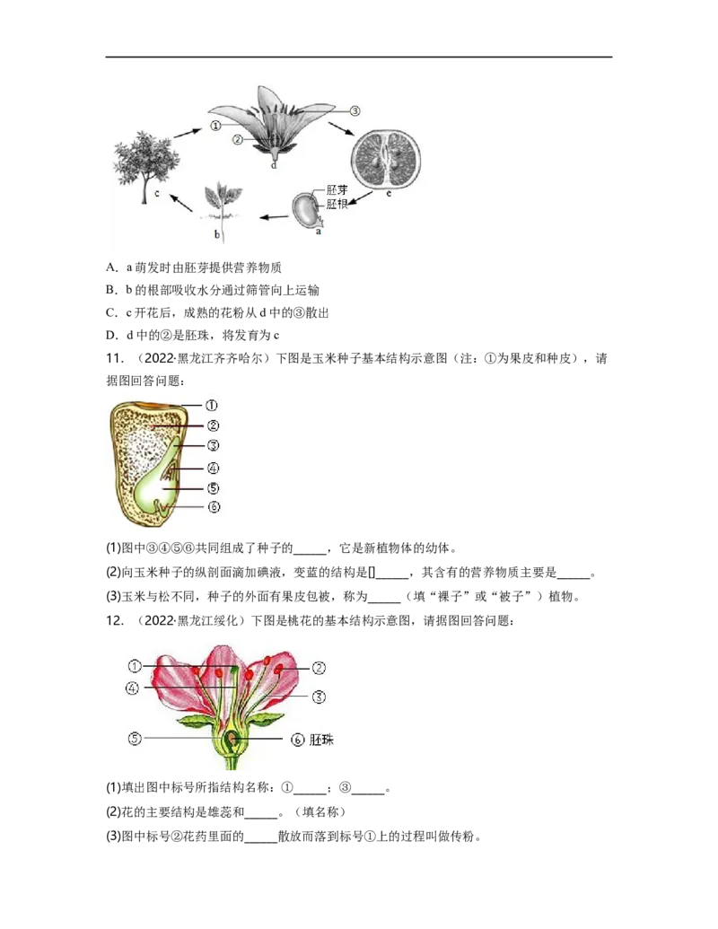 专题03生物圈中的绿色植物（一）背诵清单+跟踪训练（学生版）_6生物中考复习_2023年中考复习资料_一轮复习_2023年中考生物一轮大单元复习过过过（全国通用）