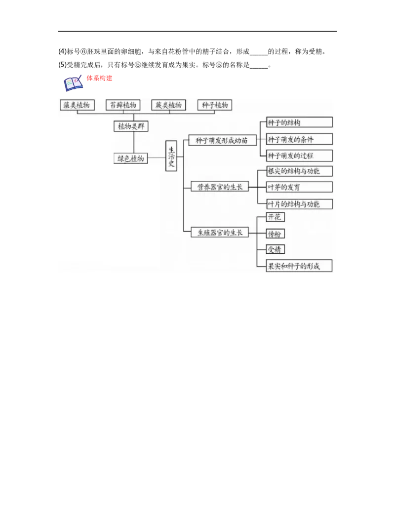 专题03生物圈中的绿色植物（一）背诵清单+跟踪训练（学生版）_6生物中考复习_2023年中考复习资料_一轮复习_2023年中考生物一轮大单元复习过过过（全国通用）