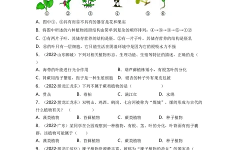 专题03生物圈中的绿色植物（一）背诵清单+跟踪训练（学生版）_6生物中考复习_2023年中考复习资料_一轮复习_2023年中考生物一轮大单元复习过过过（全国通用）