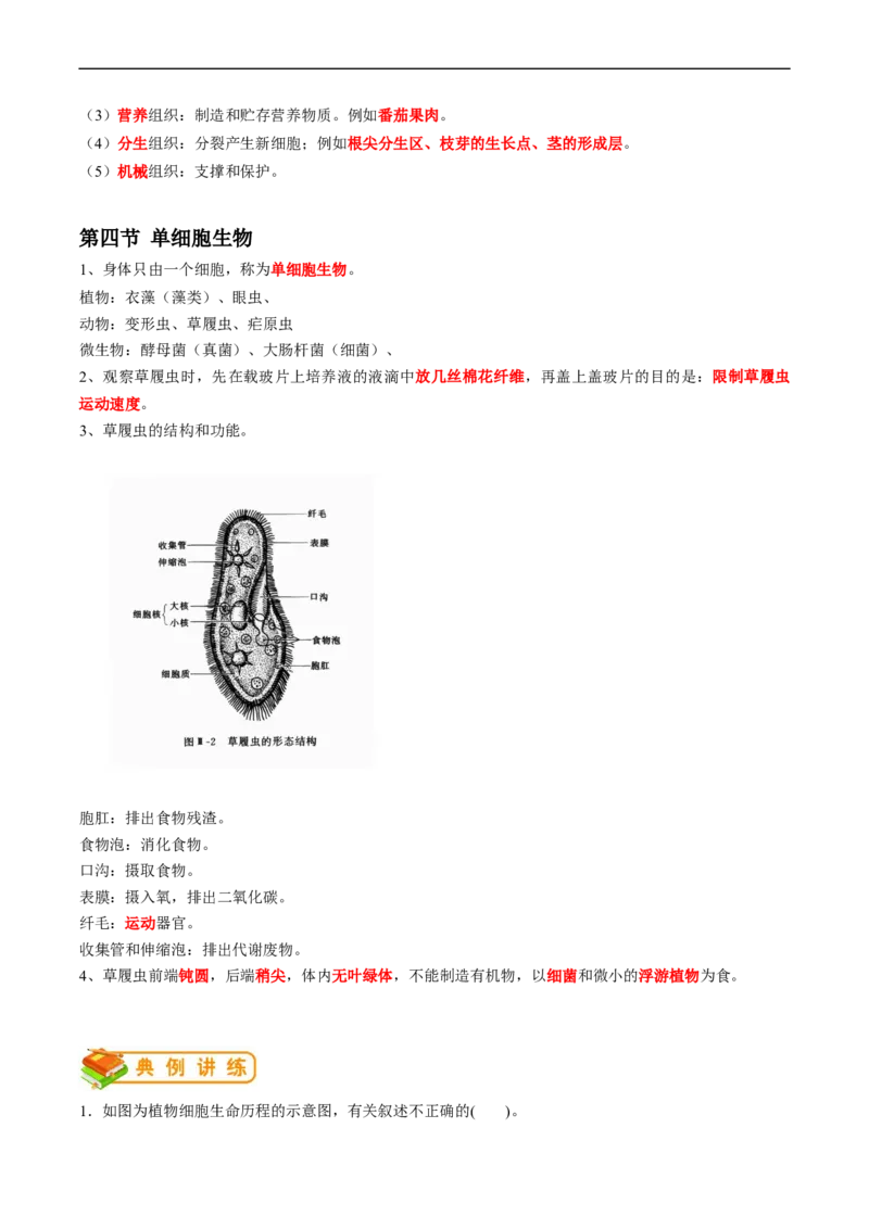 专题04细胞怎样构成生物体-2022年中考生物一轮复习抓重点考典型（人教版）（原卷版）_6生物中考复习_2023年中考复习资料_一轮复习_2022年中考生物一轮复习抓重点考典型（人教版）