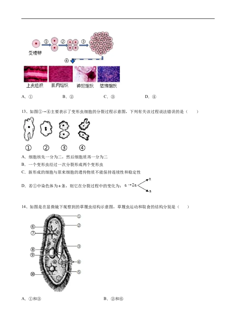 专题04细胞怎样构成生物体-2022年中考生物一轮复习抓重点考典型（人教版）（原卷版）_6生物中考复习_2023年中考复习资料_一轮复习_2022年中考生物一轮复习抓重点考典型（人教版）