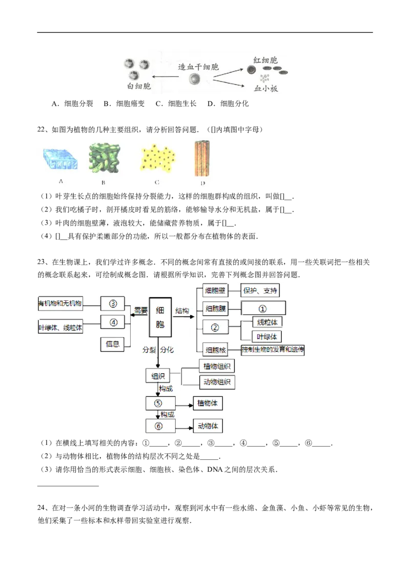 专题04细胞怎样构成生物体-2022年中考生物一轮复习抓重点考典型（人教版）（原卷版）_6生物中考复习_2023年中考复习资料_一轮复习_2022年中考生物一轮复习抓重点考典型（人教版）