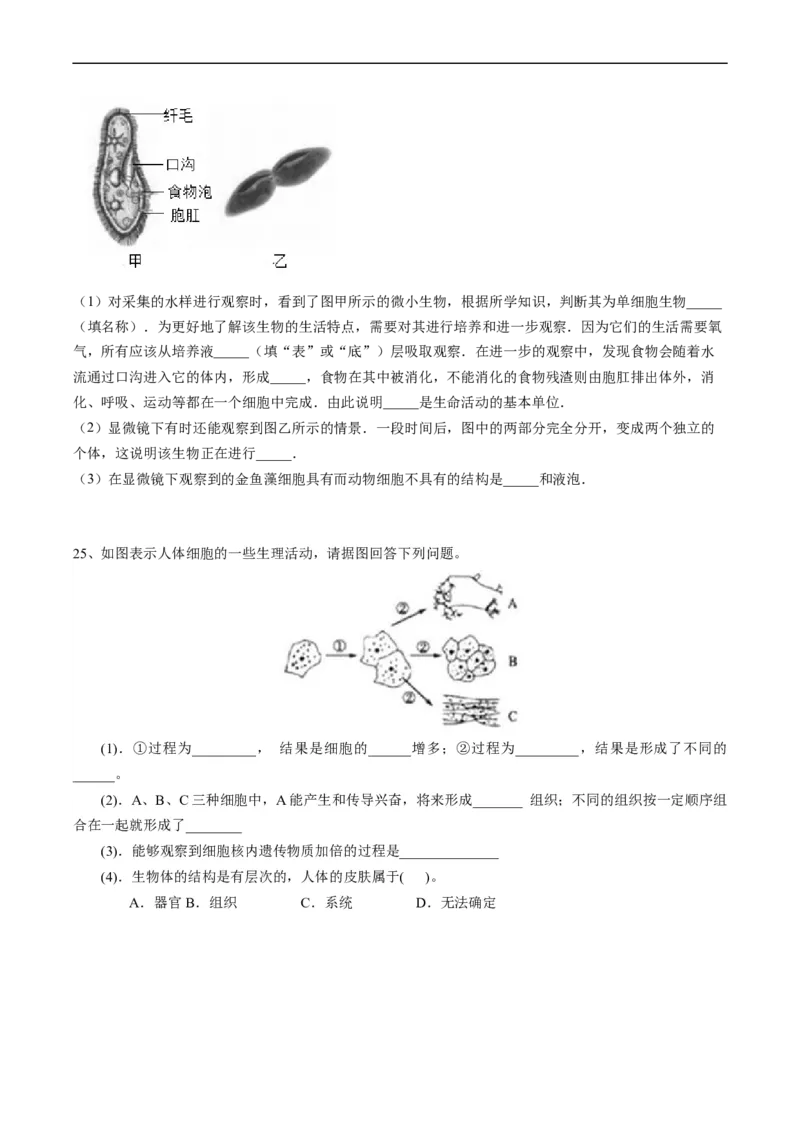 专题04细胞怎样构成生物体-2022年中考生物一轮复习抓重点考典型（人教版）（原卷版）_6生物中考复习_2023年中考复习资料_一轮复习_2022年中考生物一轮复习抓重点考典型（人教版）