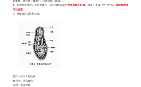 专题04细胞怎样构成生物体-2022年中考生物一轮复习抓重点考典型（人教版）（原卷版）_6生物中考复习_2023年中考复习资料_一轮复习_2022年中考生物一轮复习抓重点考典型（人教版）
