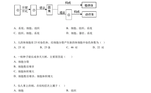 专题04细胞怎样构成生物体-2022年中考生物一轮复习抓重点考典型（人教版）（原卷版）_6生物中考复习_2023年中考复习资料_一轮复习_2022年中考生物一轮复习抓重点考典型（人教版）