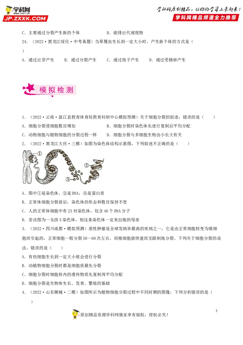 专题03生物体的结构层次（习题帮）（原卷版）_6生物中考复习_2023年中考复习资料_一轮复习_备战2023年中考生物一轮复习考点帮（全国通用）288506454