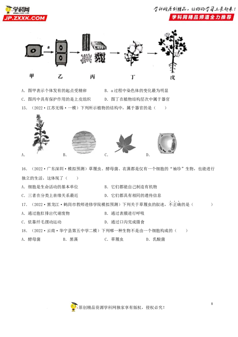 专题03生物体的结构层次（习题帮）（原卷版）_6生物中考复习_2023年中考复习资料_一轮复习_备战2023年中考生物一轮复习考点帮（全国通用）288506454