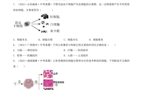 专题03生物体的结构层次（习题帮）（原卷版）_6生物中考复习_2023年中考复习资料_一轮复习_备战2023年中考生物一轮复习考点帮（全国通用）288506454
