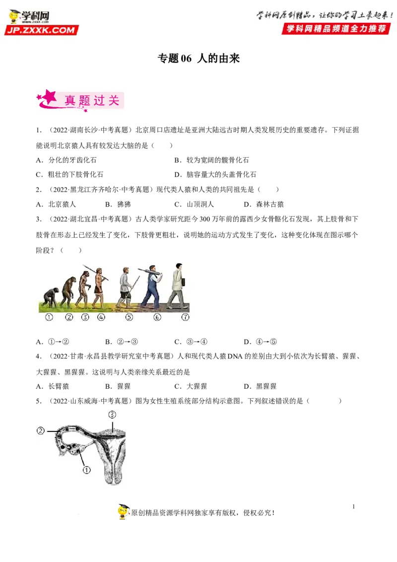 专题06人的由来（习题帮）（原卷版）_6生物中考复习_2023年中考复习资料_一轮复习_备战2023年中考生物一轮复习考点帮（全国通用）288506454