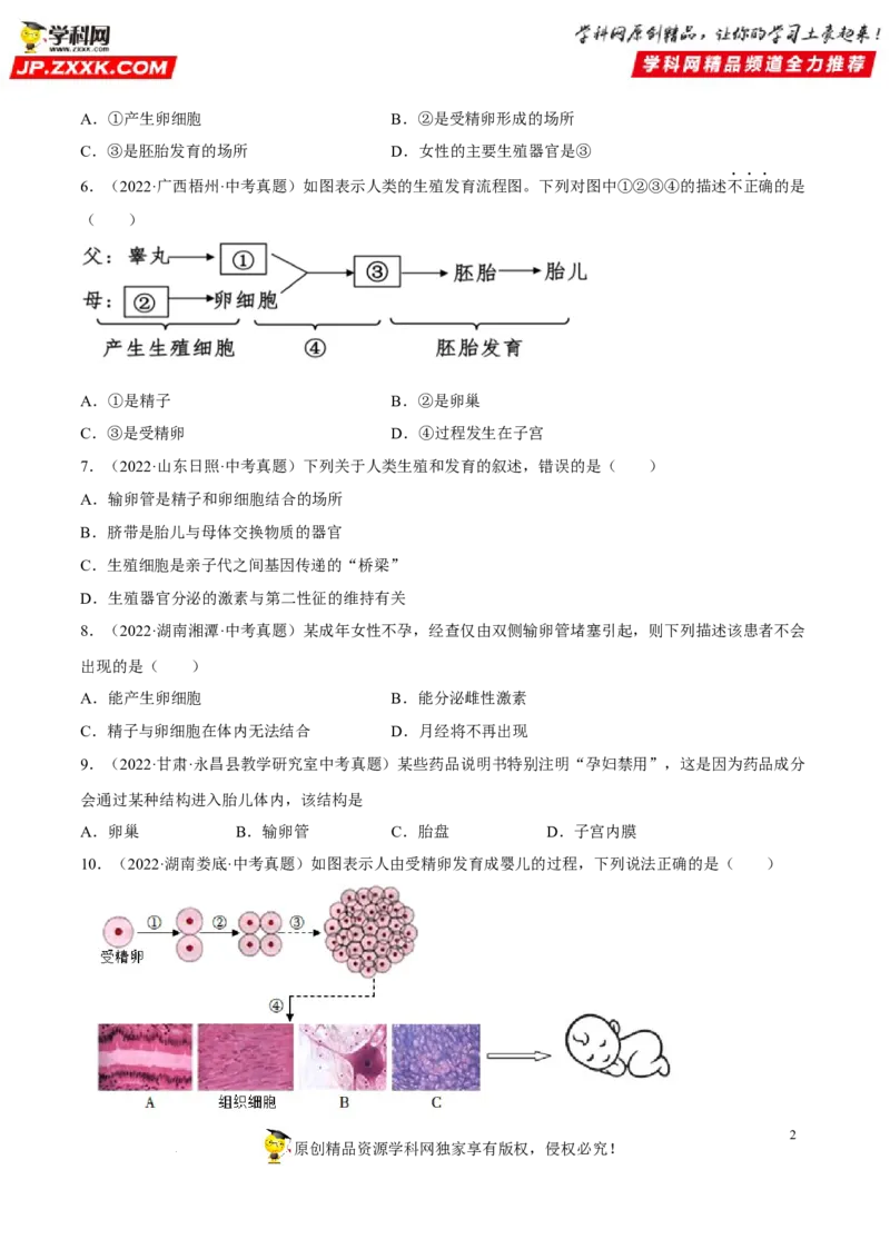 专题06人的由来（习题帮）（原卷版）_6生物中考复习_2023年中考复习资料_一轮复习_备战2023年中考生物一轮复习考点帮（全国通用）288506454