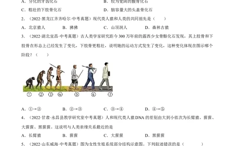 专题06人的由来（习题帮）（原卷版）_6生物中考复习_2023年中考复习资料_一轮复习_备战2023年中考生物一轮复习考点帮（全国通用）288506454