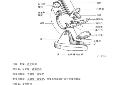 专题02细胞是生命活动的基本单位（知识帮）-备战2023年中考生物一轮复习考点帮（全国通用）_6生物中考复习_2023年中考复习资料_一轮复习