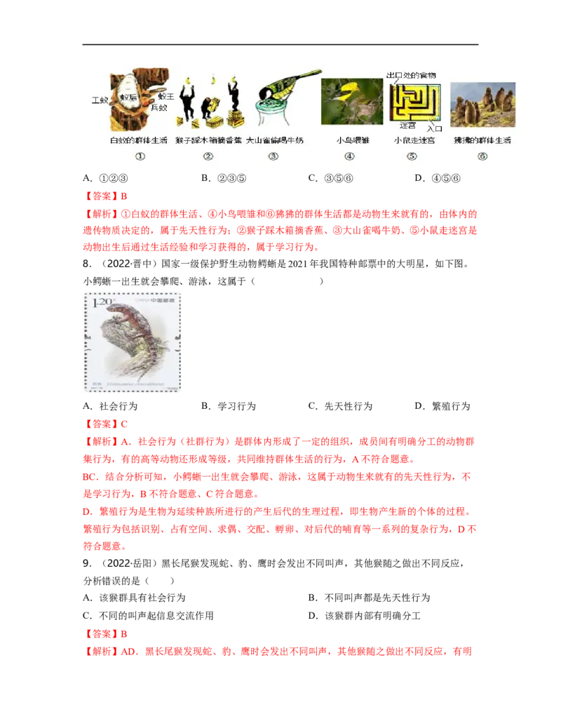 专题05生物圈中的其他生物（一）背诵清单+跟踪训练（教师版）_6生物中考复习_2023年中考复习资料_一轮复习_2023年中考生物一轮大单元复习过过过（全国通用）
