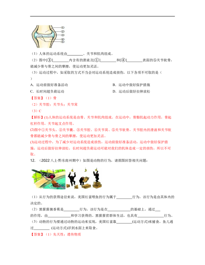 专题05生物圈中的其他生物（一）背诵清单+跟踪训练（教师版）_6生物中考复习_2023年中考复习资料_一轮复习_2023年中考生物一轮大单元复习过过过（全国通用）