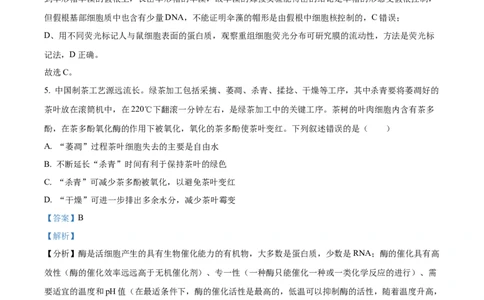 精品解析：2024届四川省内江市高三零模理综生物试题（解析版）_生物高考模拟题_老高考_2024年_精品解析：2024届四川省内江市高三零模理综生物试题