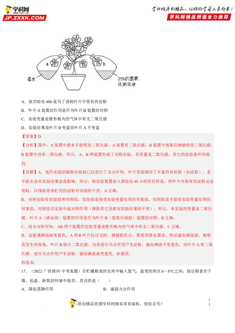 专题05绿色植物的蒸腾作用、光合作用和呼吸作用（习题帮）（解析版）_6生物中考复习_2023年中考复习资料_一轮复习_备战2023年中考生物一轮复习考点帮（全国通用）288506454