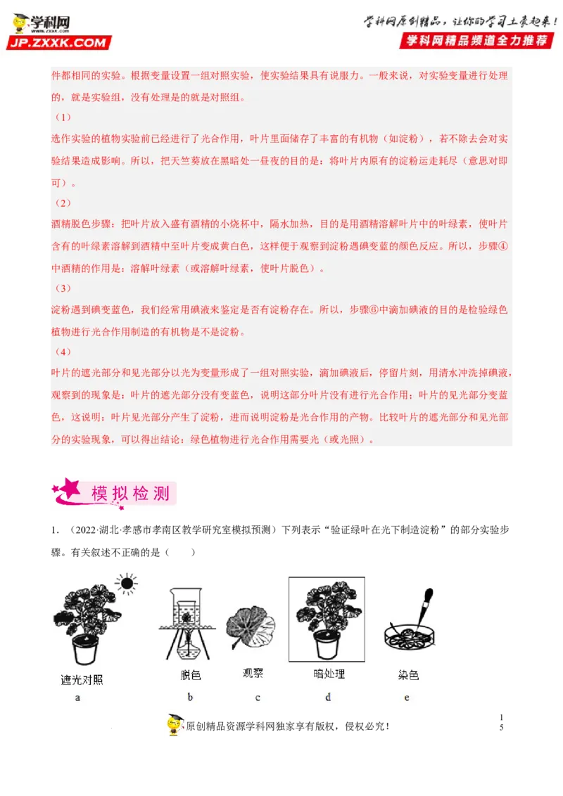 专题05绿色植物的蒸腾作用、光合作用和呼吸作用（习题帮）（解析版）_6生物中考复习_2023年中考复习资料_一轮复习_备战2023年中考生物一轮复习考点帮（全国通用）288506454