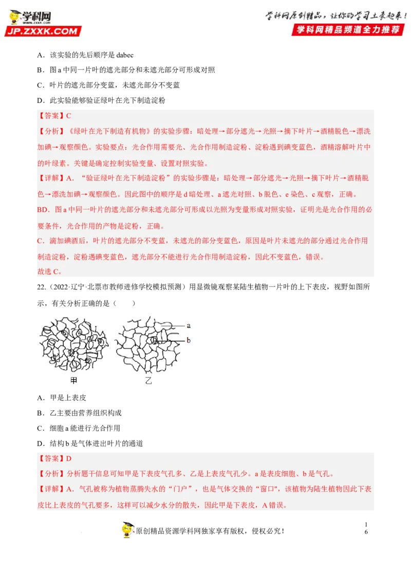 专题05绿色植物的蒸腾作用、光合作用和呼吸作用（习题帮）（解析版）_6生物中考复习_2023年中考复习资料_一轮复习_备战2023年中考生物一轮复习考点帮（全国通用）288506454